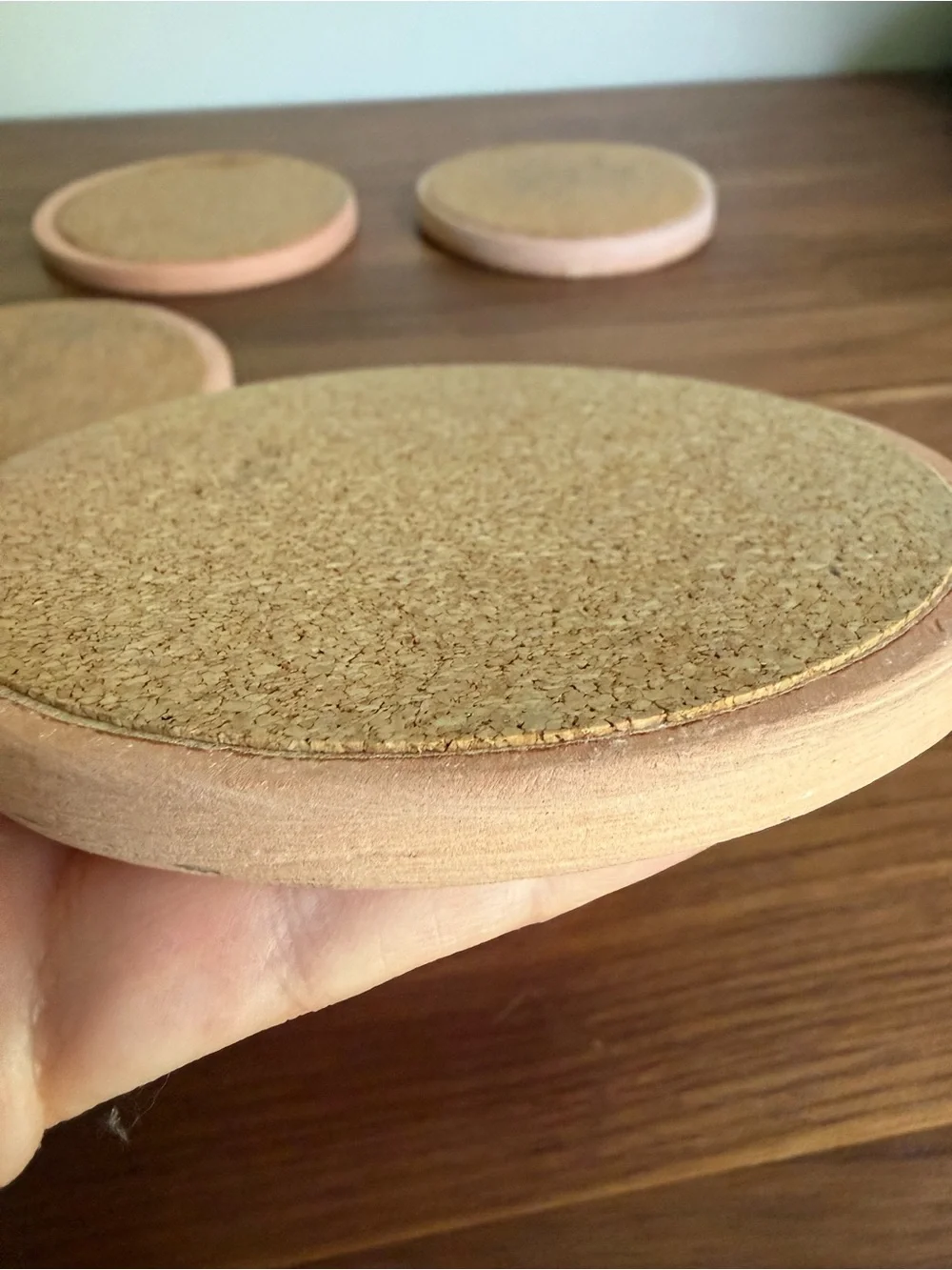 🌵 Vintage Southwestern Terracotta Coasters - Set of 5 🌵